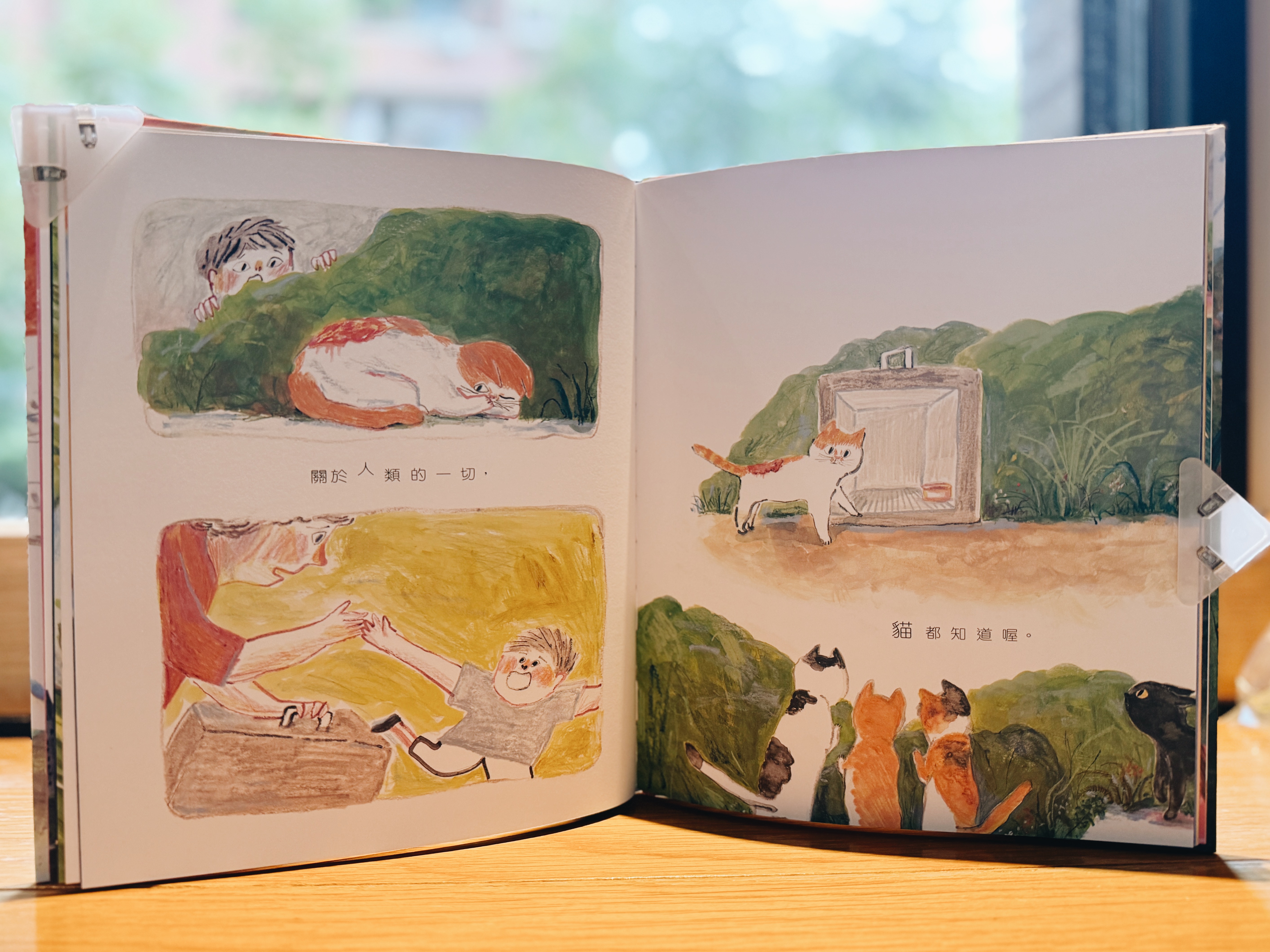 《貓什麼都知道》｜那些人類遺忘的事 正文圖片第 4 張