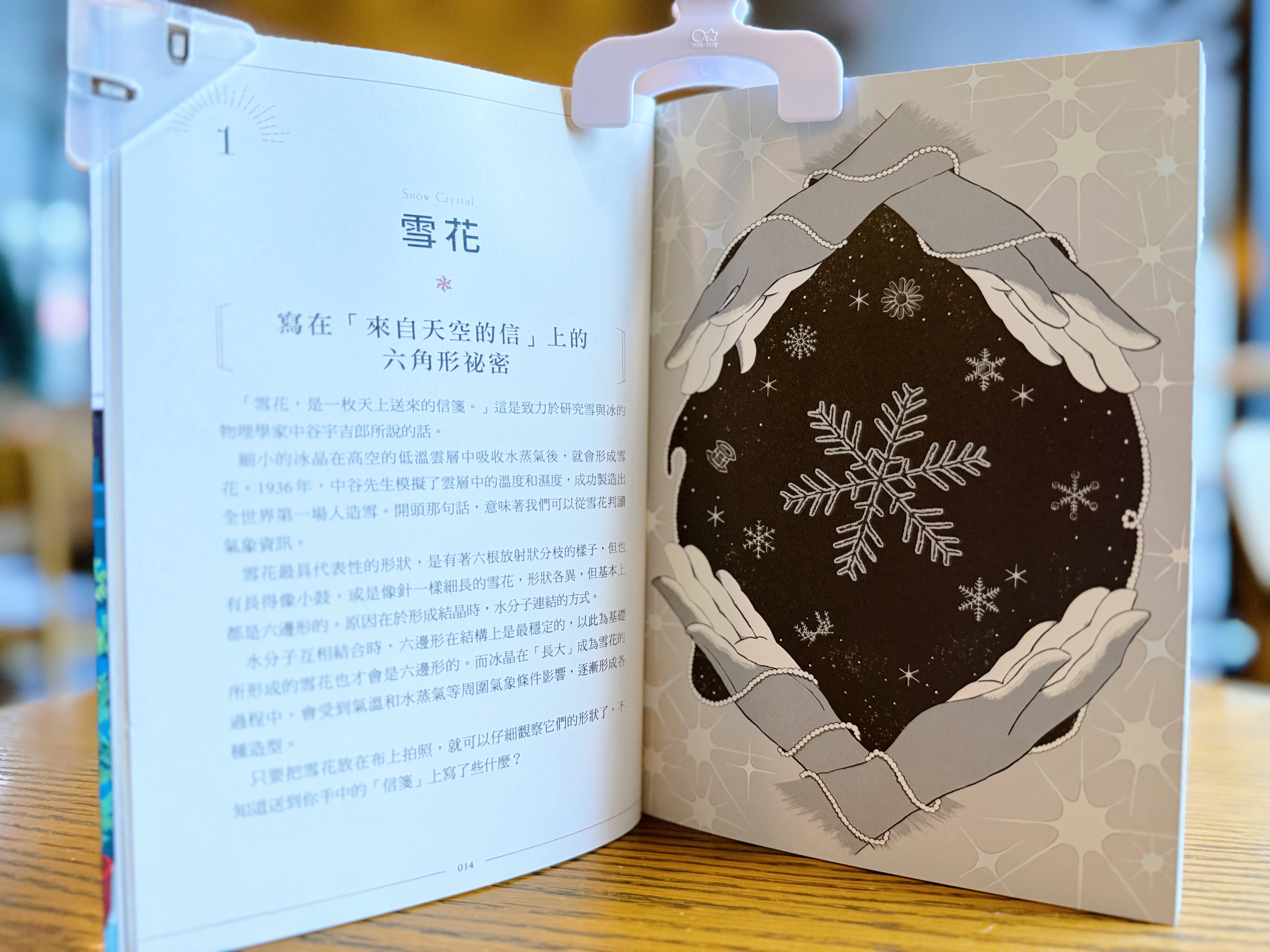 《知識之海的閃亮圖鑑》｜讓我眼睛發亮的科普書 正文圖片第 2 張