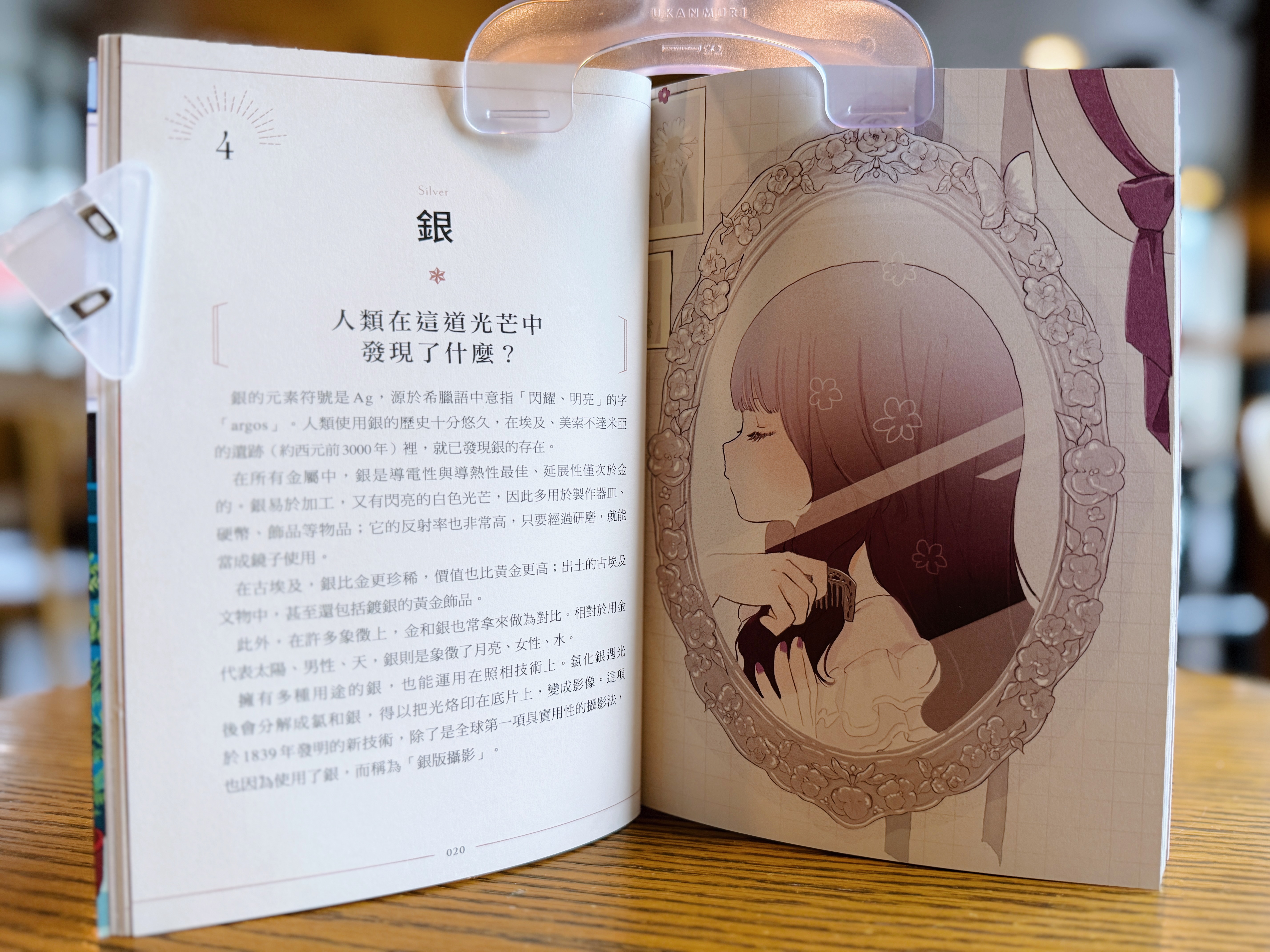 《知識之海的閃亮圖鑑》｜讓我眼睛發亮的科普書 正文圖片第 3 張