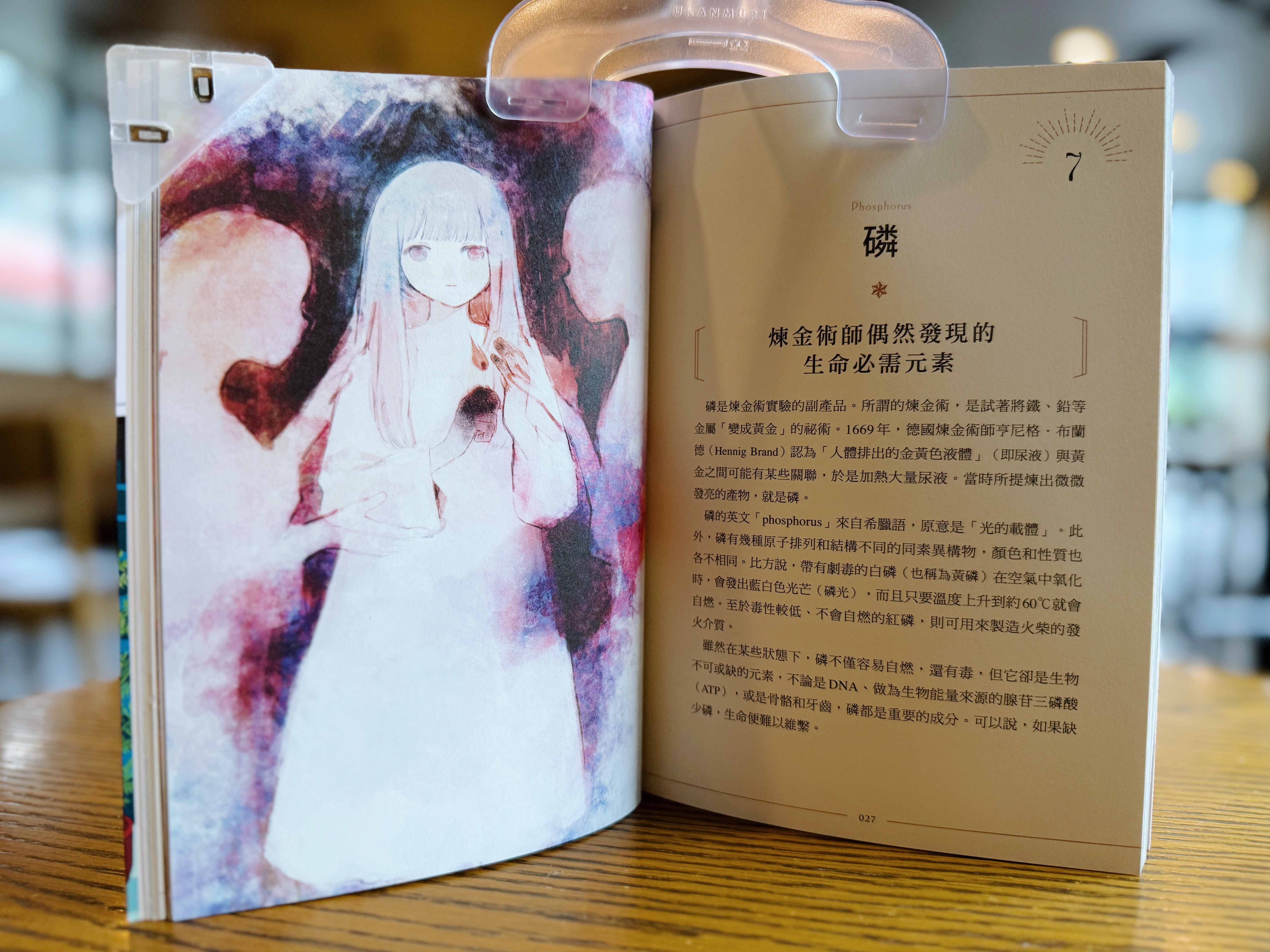 《知識之海的閃亮圖鑑》｜讓我眼睛發亮的科普書 正文圖片第 4 張
