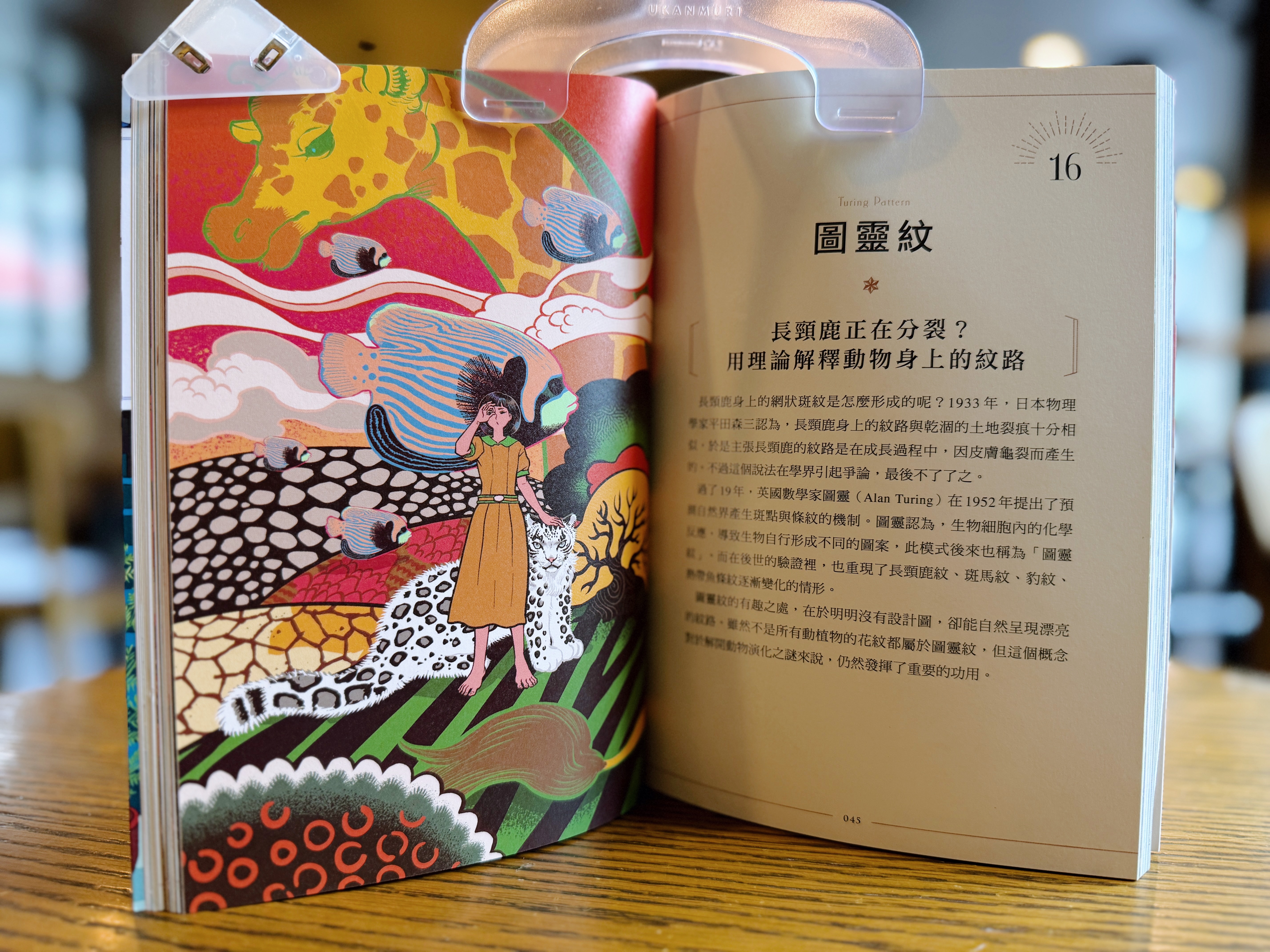 《知識之海的閃亮圖鑑》｜讓我眼睛發亮的科普書 正文圖片第 5 張