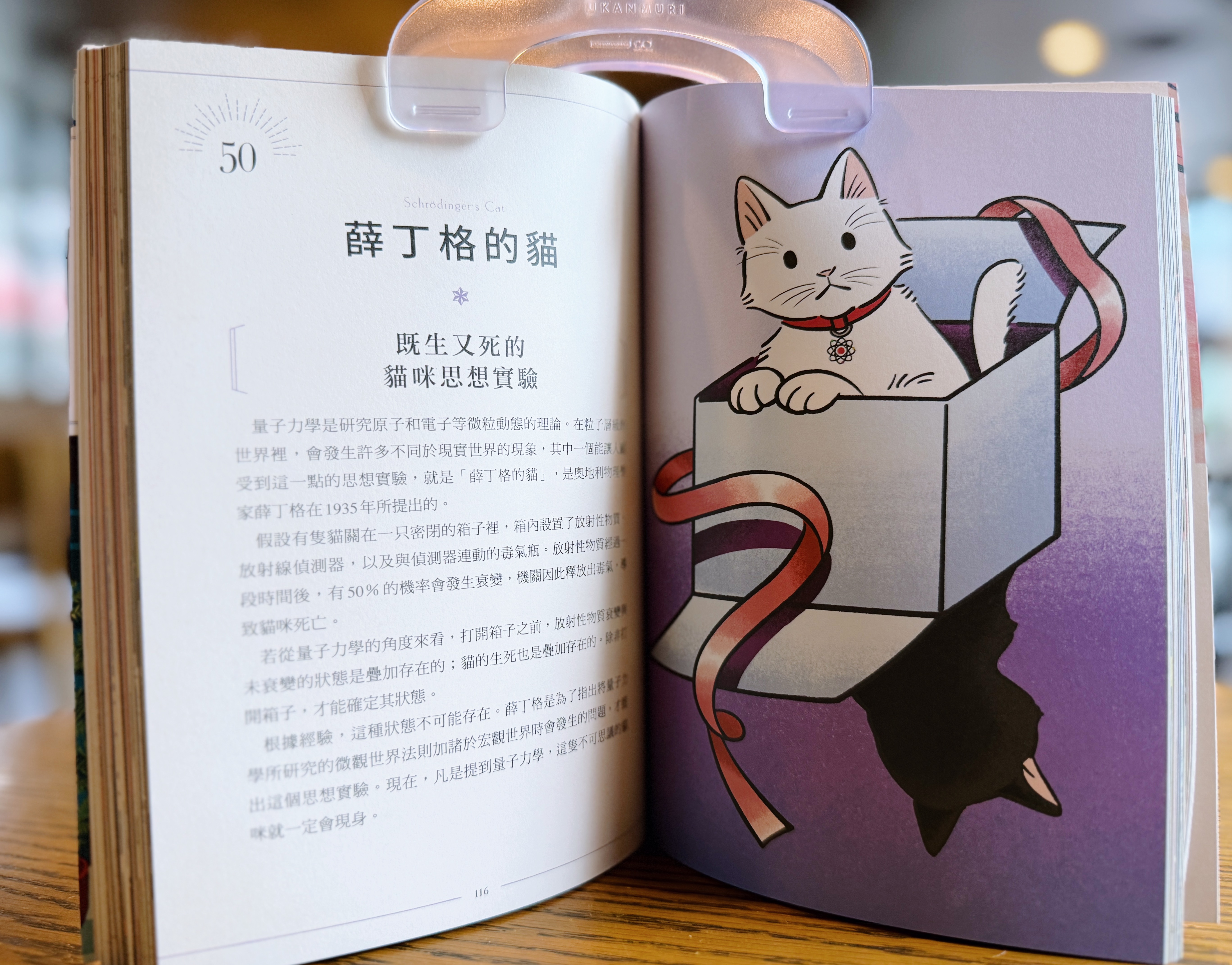 《知識之海的閃亮圖鑑》｜讓我眼睛發亮的科普書 正文圖片第 7 張