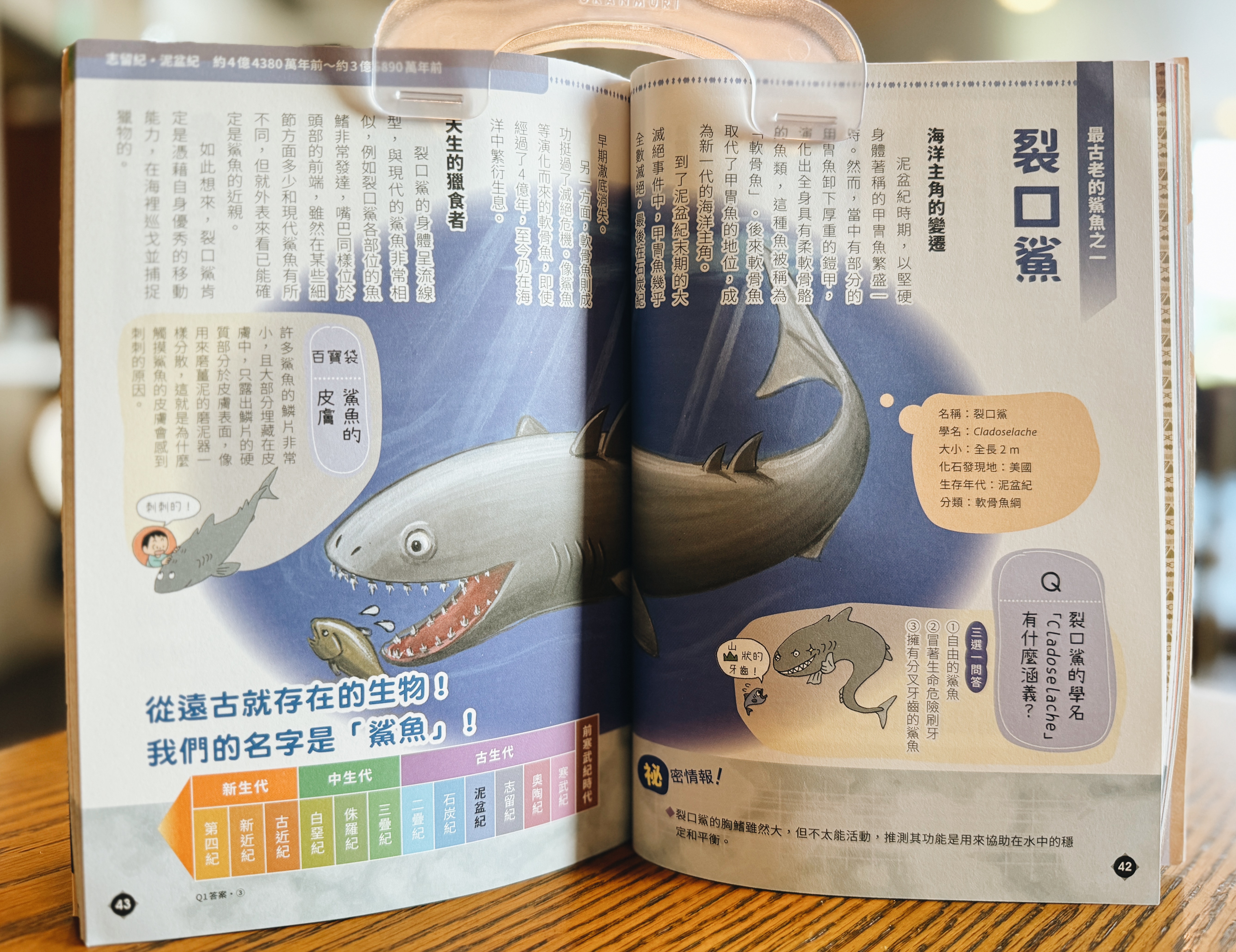 《滅絕生物研究所》|讓化石說給你聽 正文圖片第 3 張
