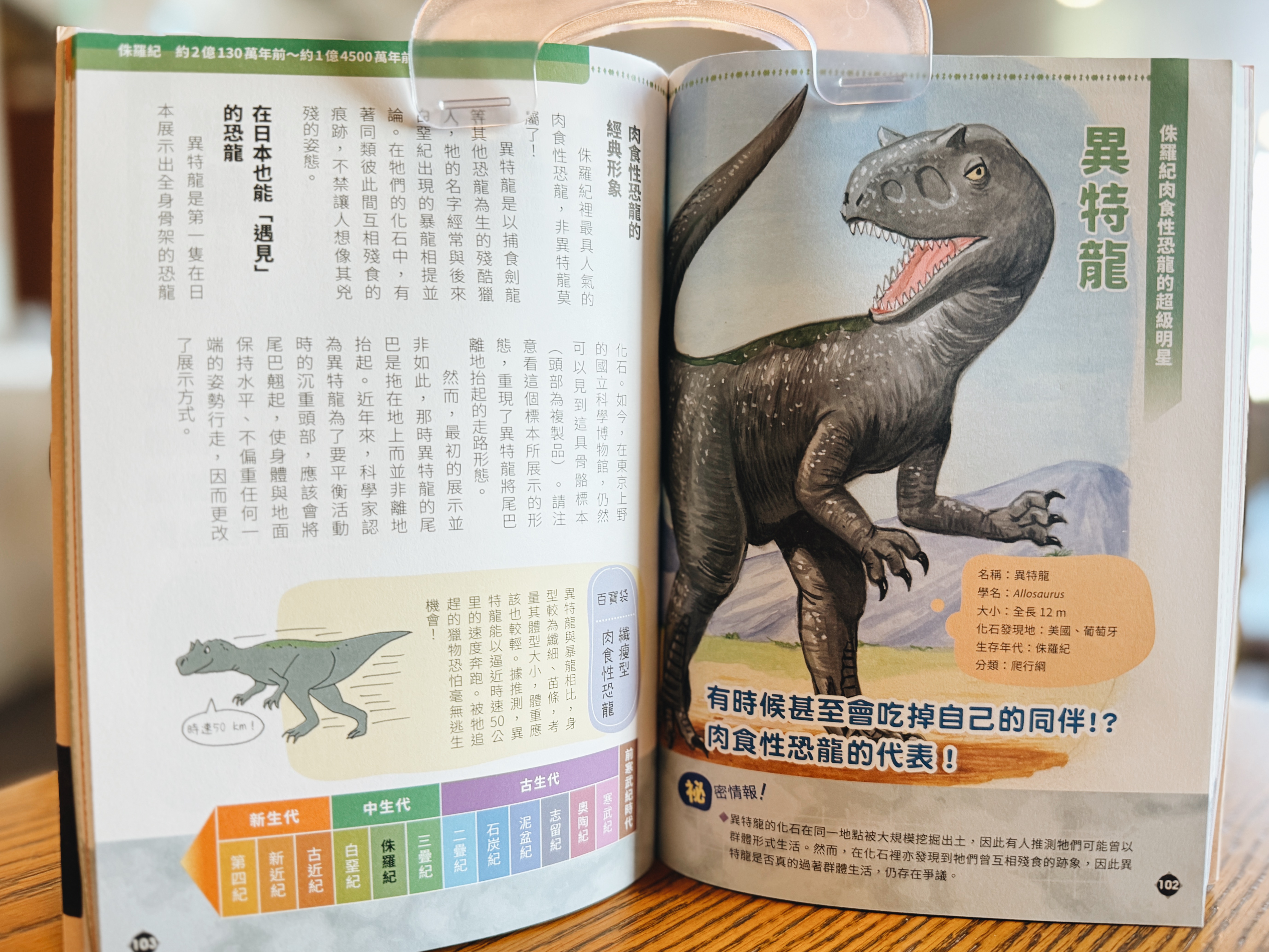 《滅絕生物研究所》|讓化石說給你聽 正文圖片第 6 張