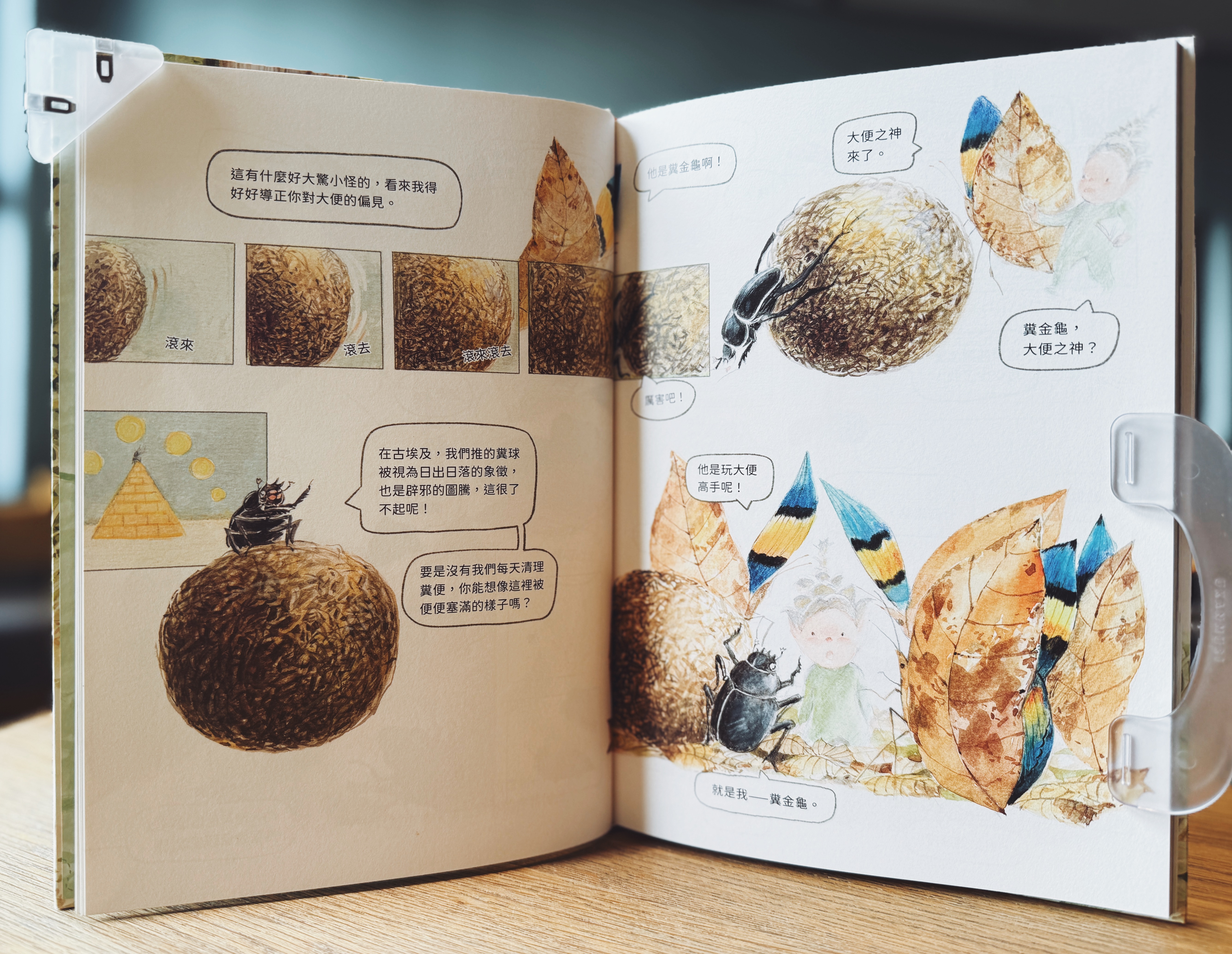 《撞到月亮的樹》上下冊｜小毬果出發了 正文圖片第 4 張
