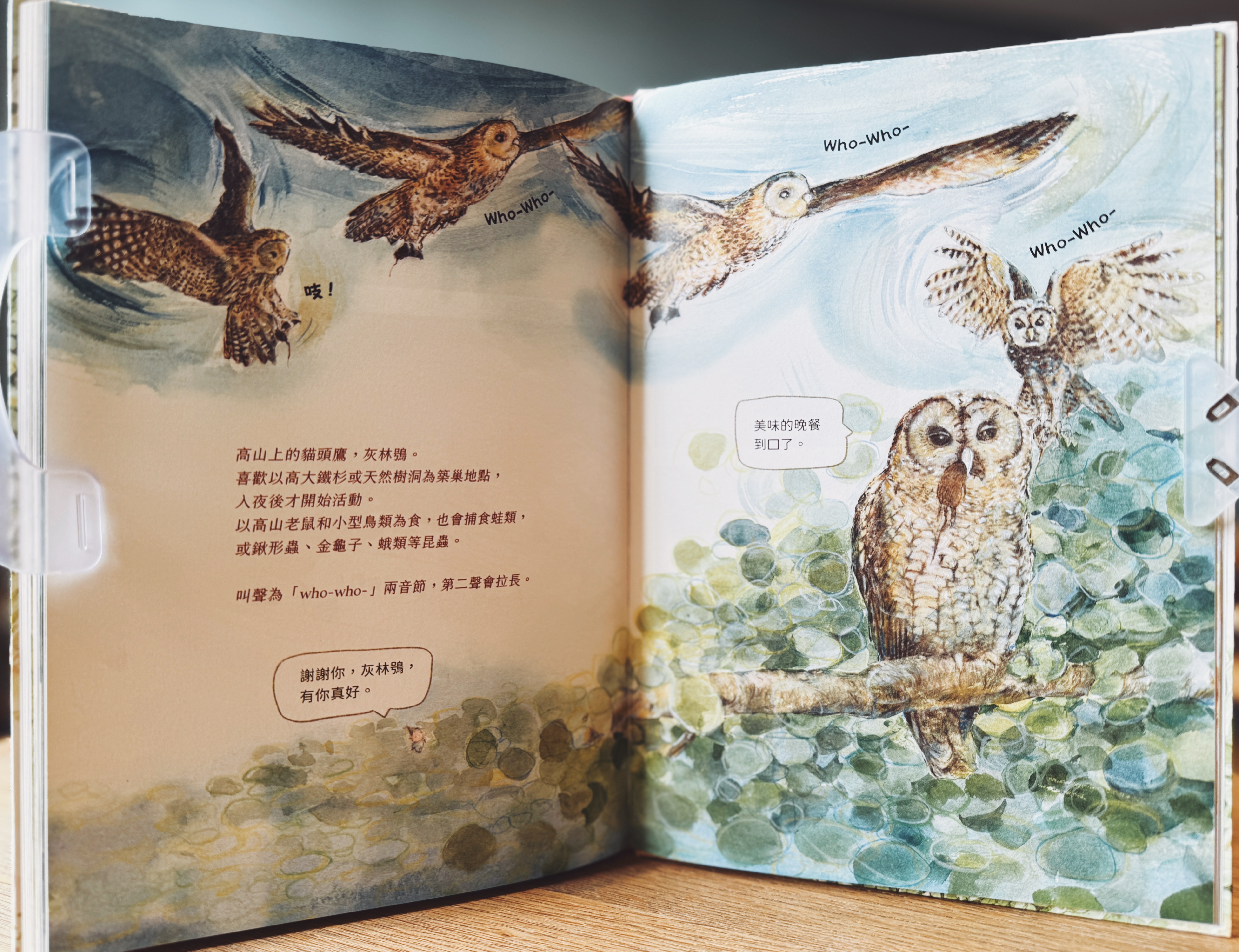《撞到月亮的樹》上下冊｜小毬果出發了 正文圖片第 6 張