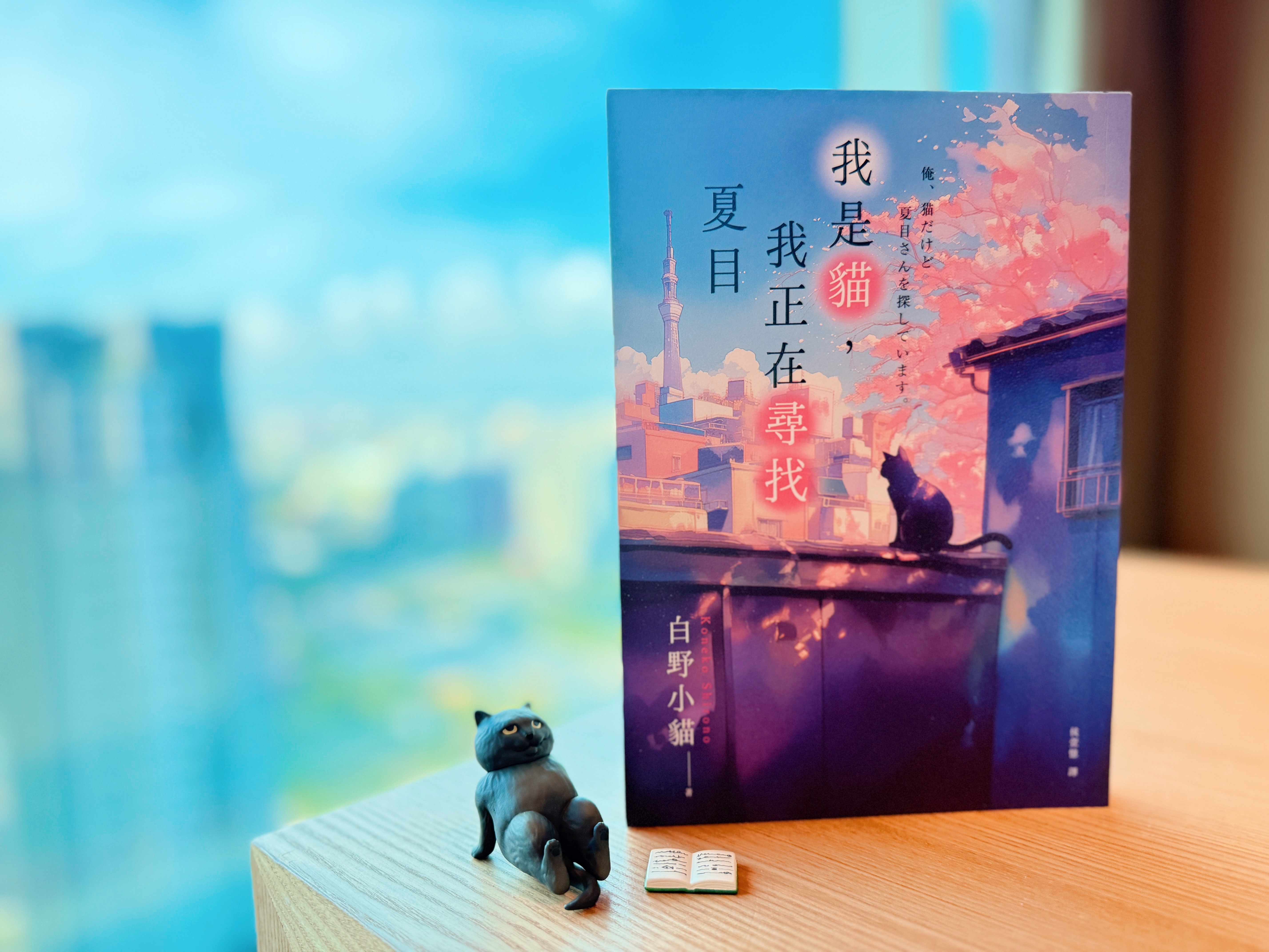 《我是貓,我正在尋找夏目》|本貓在找你 書封