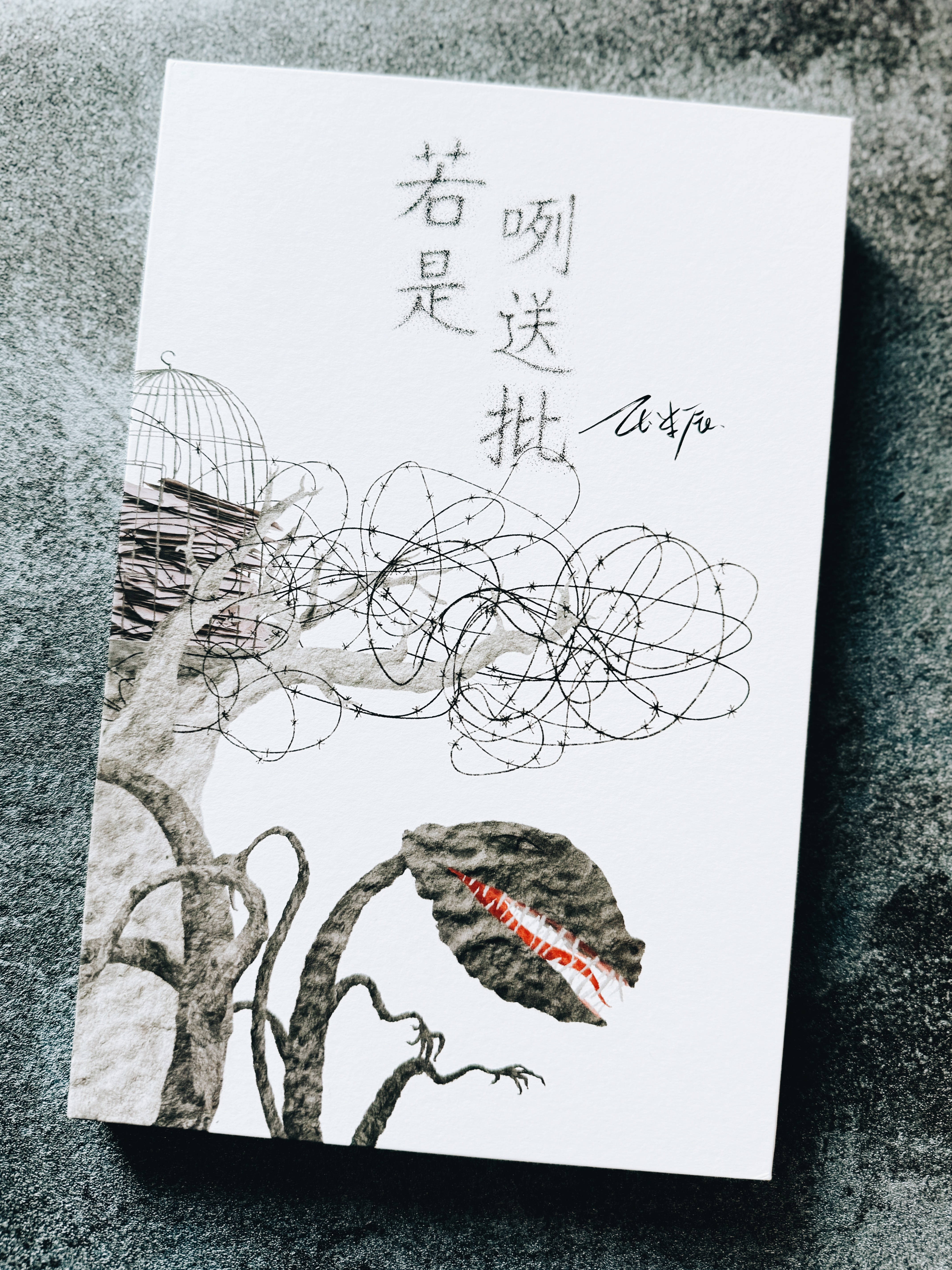 《若是咧送批》|寄往歷史,交付未來 書封