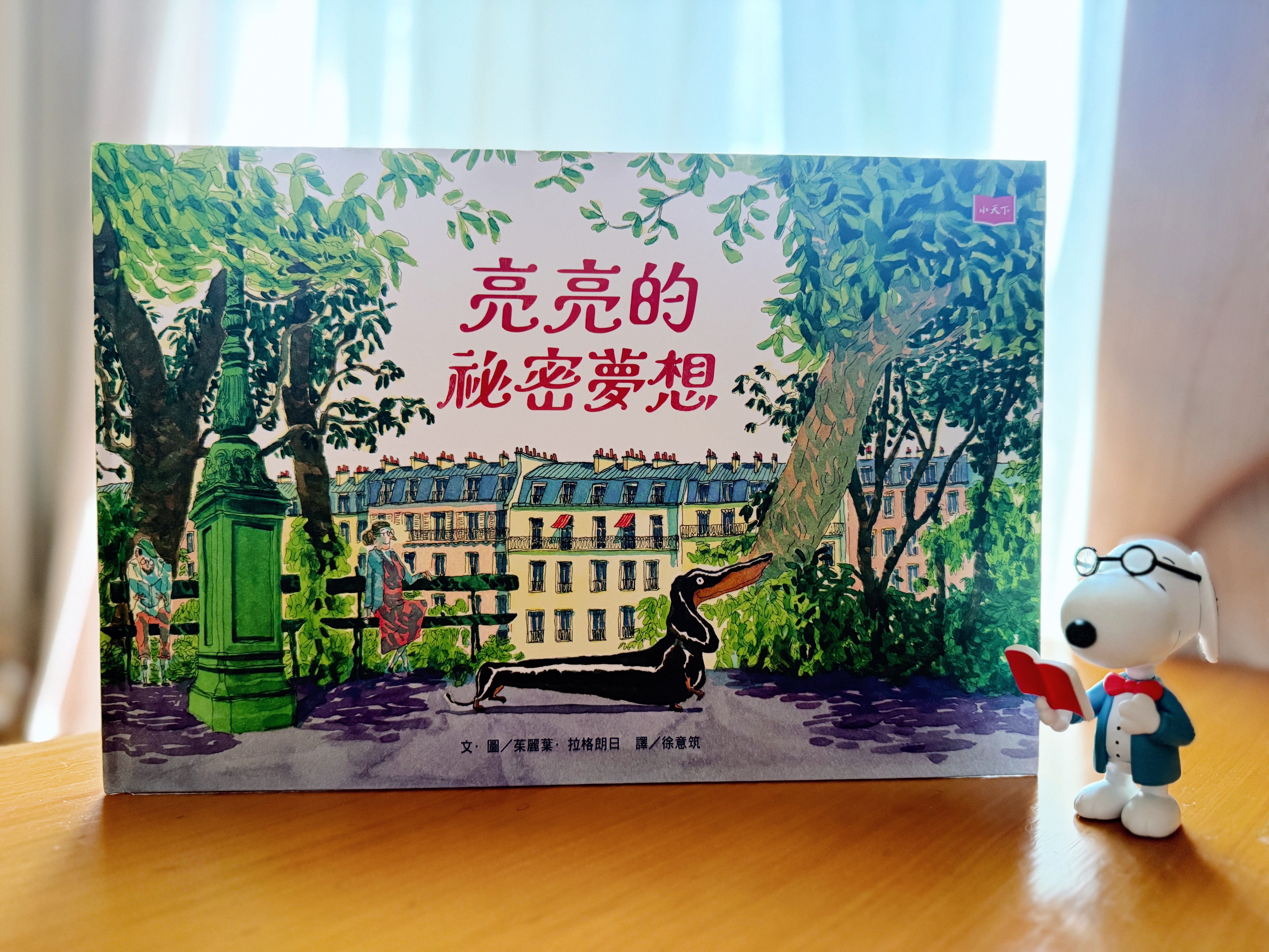 《亮亮的祕密夢想》|每個被忽略的存在,都在等一盞光 書封