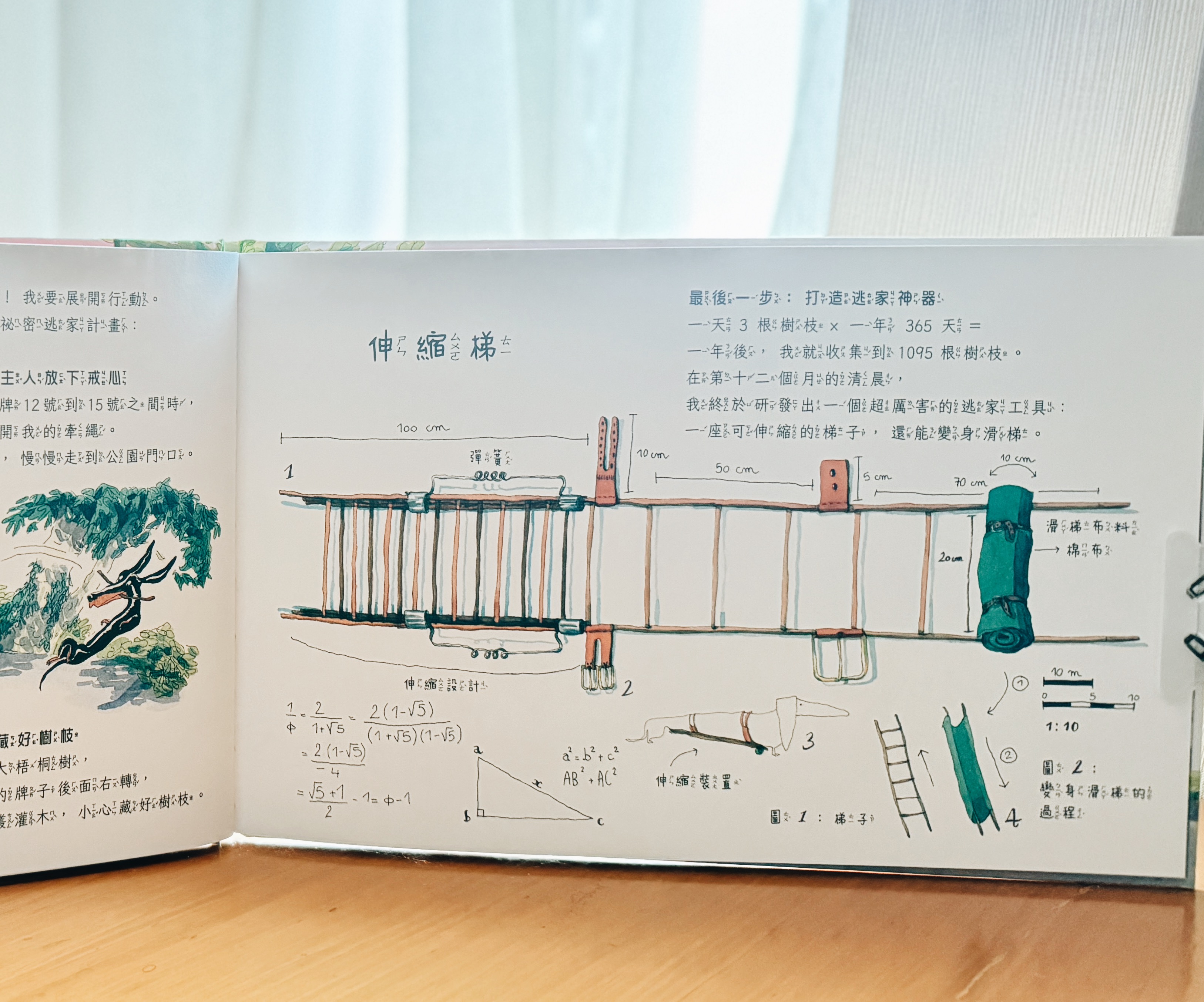 《亮亮的祕密夢想》|每個被忽略的存在,都在等一盞光 正文圖片第 6 張