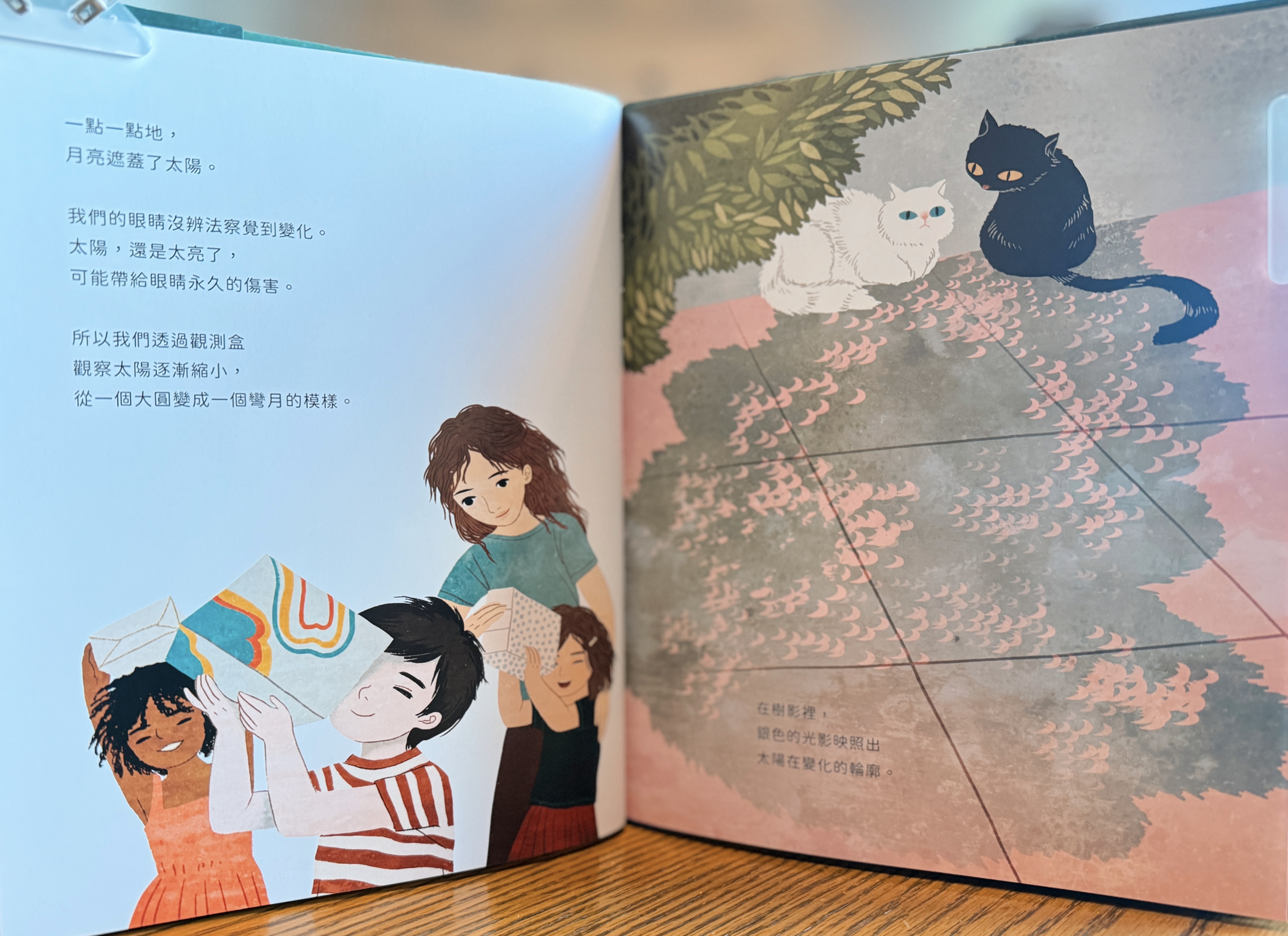《在那美麗的幾分鐘裡: 體驗日食》|當知識被光擁抱的時刻 正文圖片第 3 張